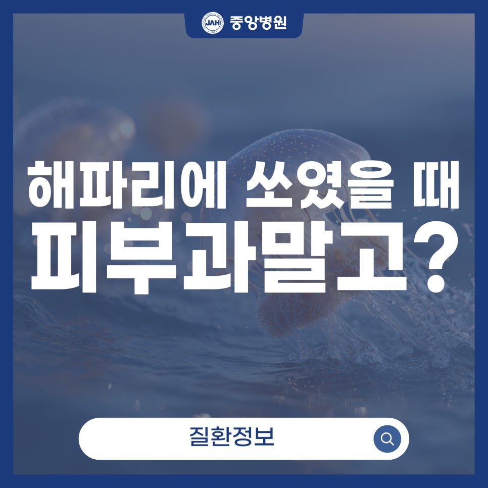 해파리 쏘임 사고, 응급의학과를 잊지 않기