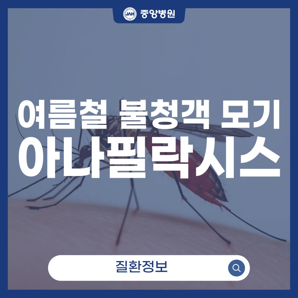 뜻하지 않은 모기, 곤충 사고 